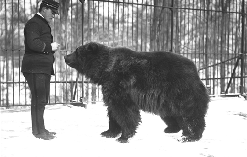Wildlife Conservation Society_00493_Kodiak Bear and Keeper_BZ_12 18 05.JPG